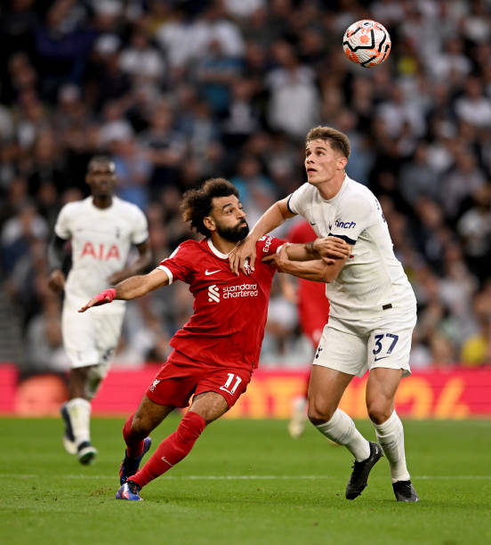 明尼苏达森 明尼苏达森